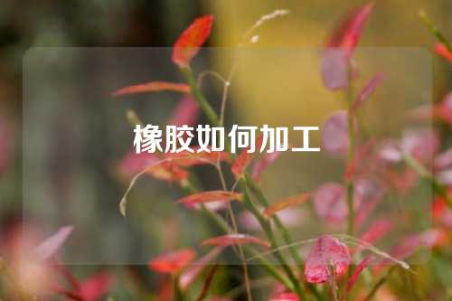 橡胶如何加工