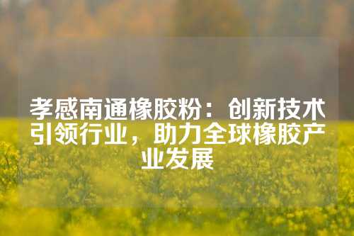 孝感南通橡胶粉：创新技术引领行业，助力全球橡胶产业发展