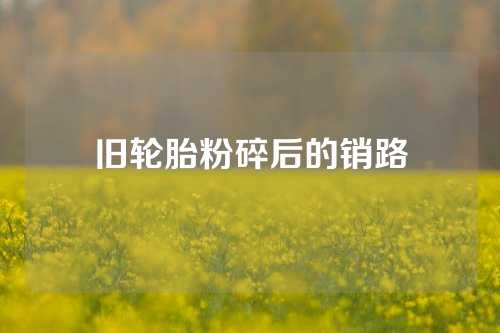 旧轮胎粉碎后的销路