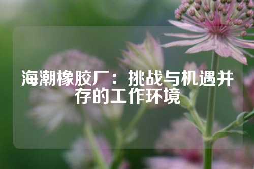 海潮橡胶厂：挑战与机遇并存的工作环境