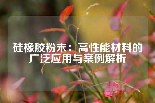 硅橡胶粉末：高性能材料的广泛应用与案例解析