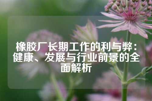 橡胶厂长期工作的利与弊：健康、发展与行业前景的全面解析