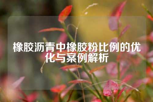 橡胶沥青中橡胶粉比例的优化与案例解析
