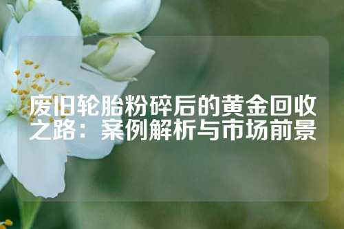 废旧轮胎粉碎后的黄金回收之路：案例解析与市场前景