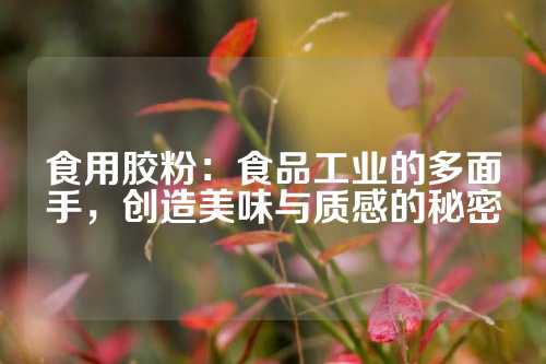 食用胶粉：食品工业的多面手，创造美味与质感的秘密