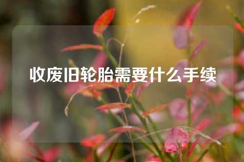 收废旧轮胎需要什么手续