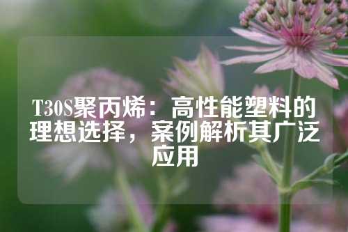 T30S聚丙烯：高性能塑料的理想选择，案例解析其广泛应用