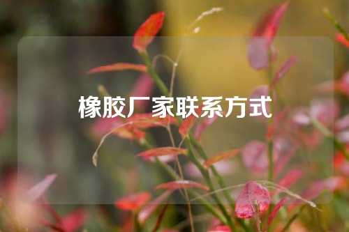 橡胶厂家联系方式