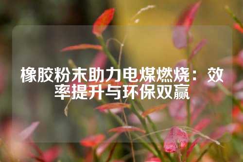 橡胶粉末助力电煤燃烧：效率提升与环保双赢