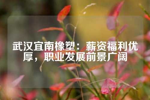 武汉宜南橡塑：薪资福利优厚，职业发展前景广阔