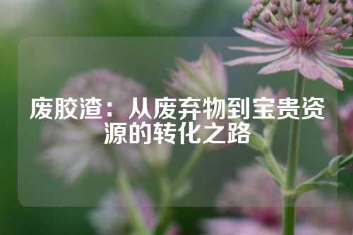 废胶渣：从废弃物到宝贵资源的转化之路