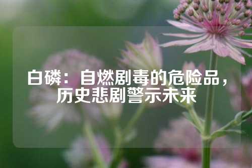 白磷：自燃剧毒的危险品，历史悲剧警示未来