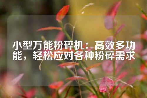 小型万能粉碎机：高效多功能，轻松应对各种粉碎需求