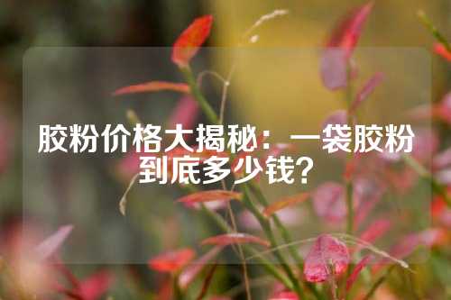胶粉价格大揭秘：一袋胶粉到底多少钱？
