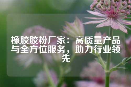 橡胶胶粉厂家：高质量产品与全方位服务，助力行业领先
