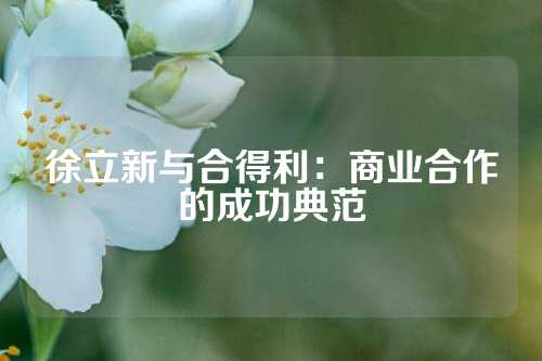 徐立新与合得利：商业合作的成功典范