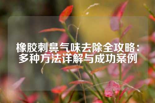 橡胶刺鼻气味去除全攻略：多种方法详解与成功案例