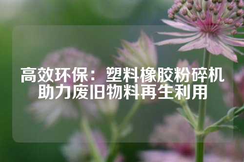 高效环保：塑料橡胶粉碎机助力废旧物料再生利用