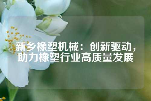 新乡橡塑机械：创新驱动，助力橡塑行业高质量发展