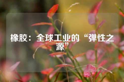 橡胶：全球工业的“弹性之源”