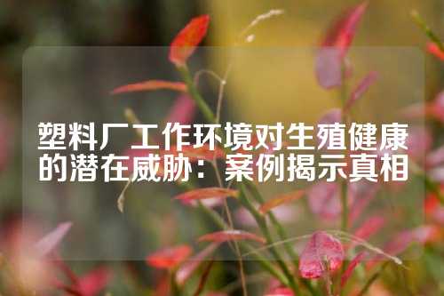 塑料厂工作环境对生殖健康的潜在威胁：案例揭示真相