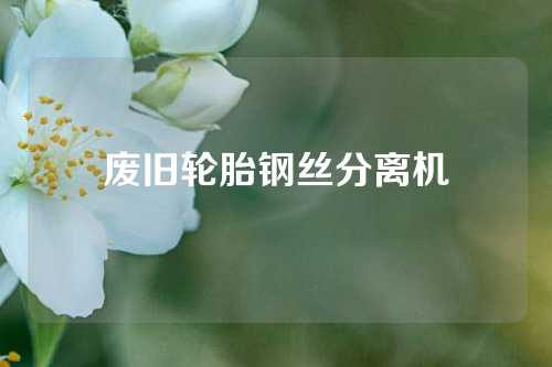 废旧轮胎钢丝分离机