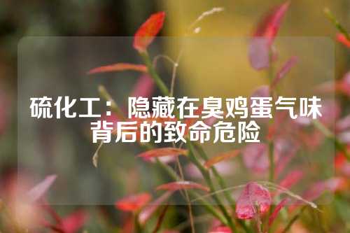 硫化工：隐藏在臭鸡蛋气味背后的致命危险