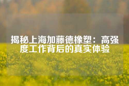 揭秘上海加藤德橡塑：高强度工作背后的真实体验