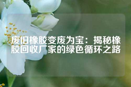 废旧橡胶变废为宝：揭秘橡胶回收厂家的绿色循环之路