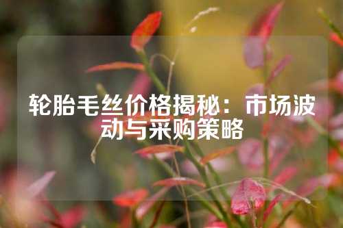 轮胎毛丝价格揭秘：市场波动与采购策略