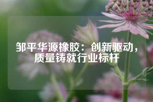邹平华源橡胶：创新驱动，质量铸就行业标杆