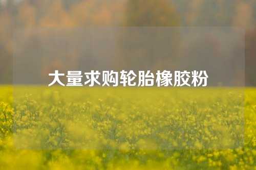 大量求购轮胎橡胶粉