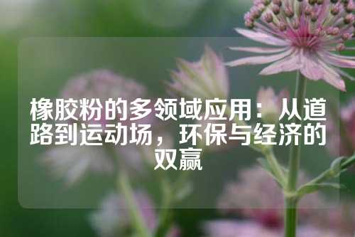 橡胶粉的多领域应用：从道路到运动场，环保与经济的双赢