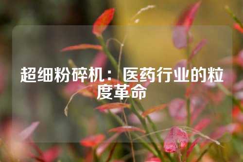 超细粉碎机：医药行业的粒度革命