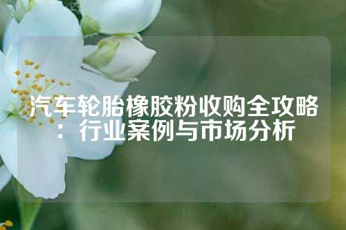 汽车轮胎橡胶粉收购全攻略：行业案例与市场分析