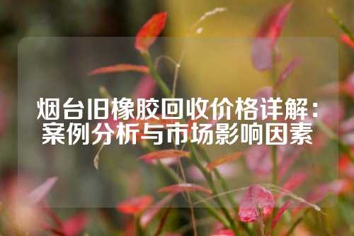 烟台旧橡胶回收价格详解：案例分析与市场影响因素