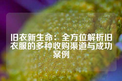 旧衣新生命：全方位解析旧衣服的多种收购渠道与成功案例