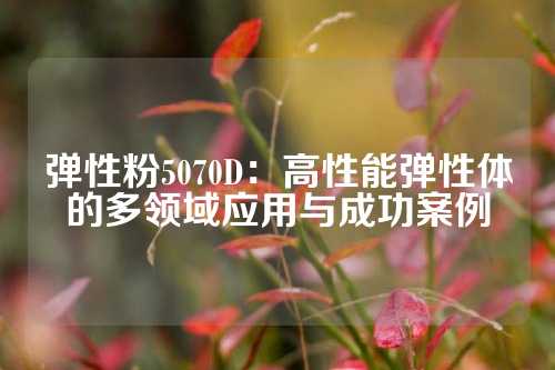 弹性粉5070D：高性能弹性体的多领域应用与成功案例