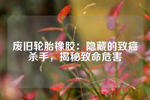 废旧轮胎橡胶：隐藏的致癌杀手，揭秘致命危害