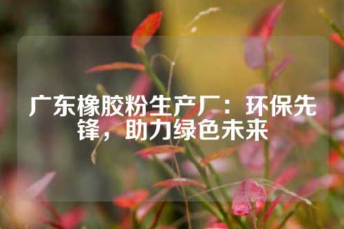 广东橡胶粉生产厂：环保先锋，助力绿色未来