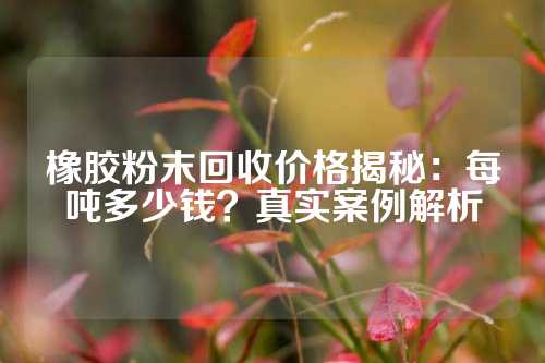 橡胶粉末回收价格揭秘：每吨多少钱？真实案例解析
