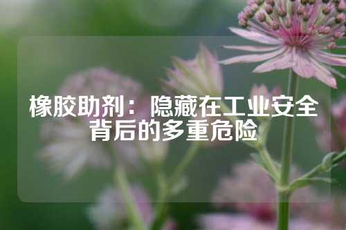 橡胶助剂：隐藏在工业安全背后的多重危险