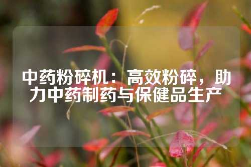 中药粉碎机：高效粉碎，助力中药制药与保健品生产