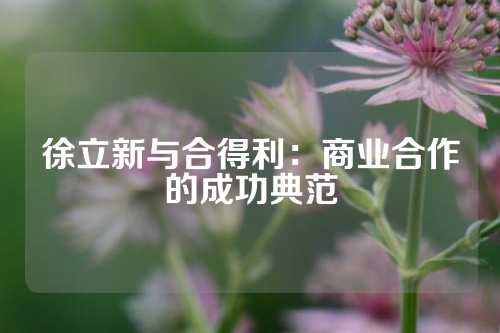 徐立新与合得利：商业合作的成功典范