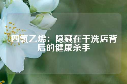 四氯乙烯：隐藏在干洗店背后的健康杀手