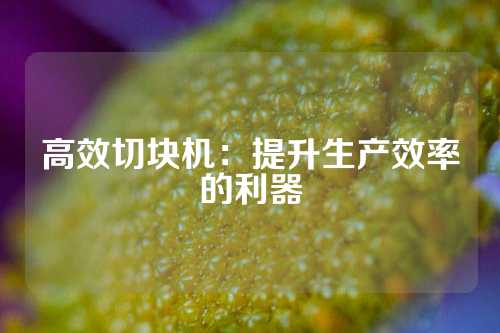 高效切块机：提升生产效率的利器