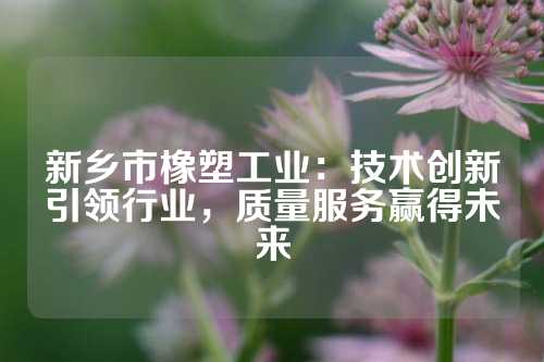 新乡市橡塑工业：技术创新引领行业，质量服务赢得未来
