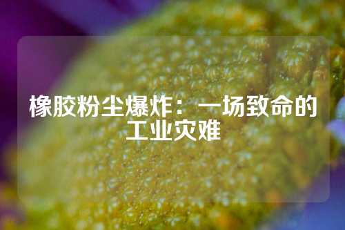 橡胶粉尘爆炸：一场致命的工业灾难