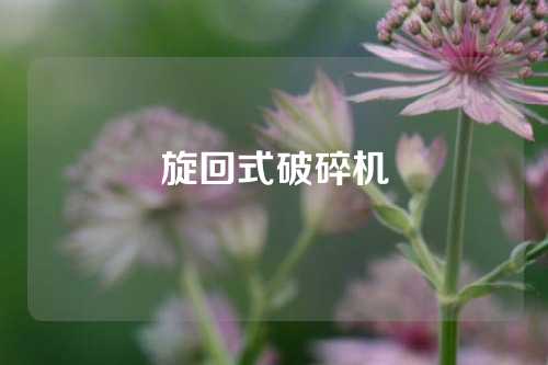 旋回式破碎机