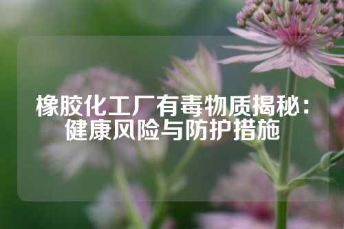 橡胶化工厂有毒物质揭秘：健康风险与防护措施
